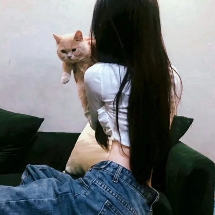 鸡兔英雄与暗黑仓鼠